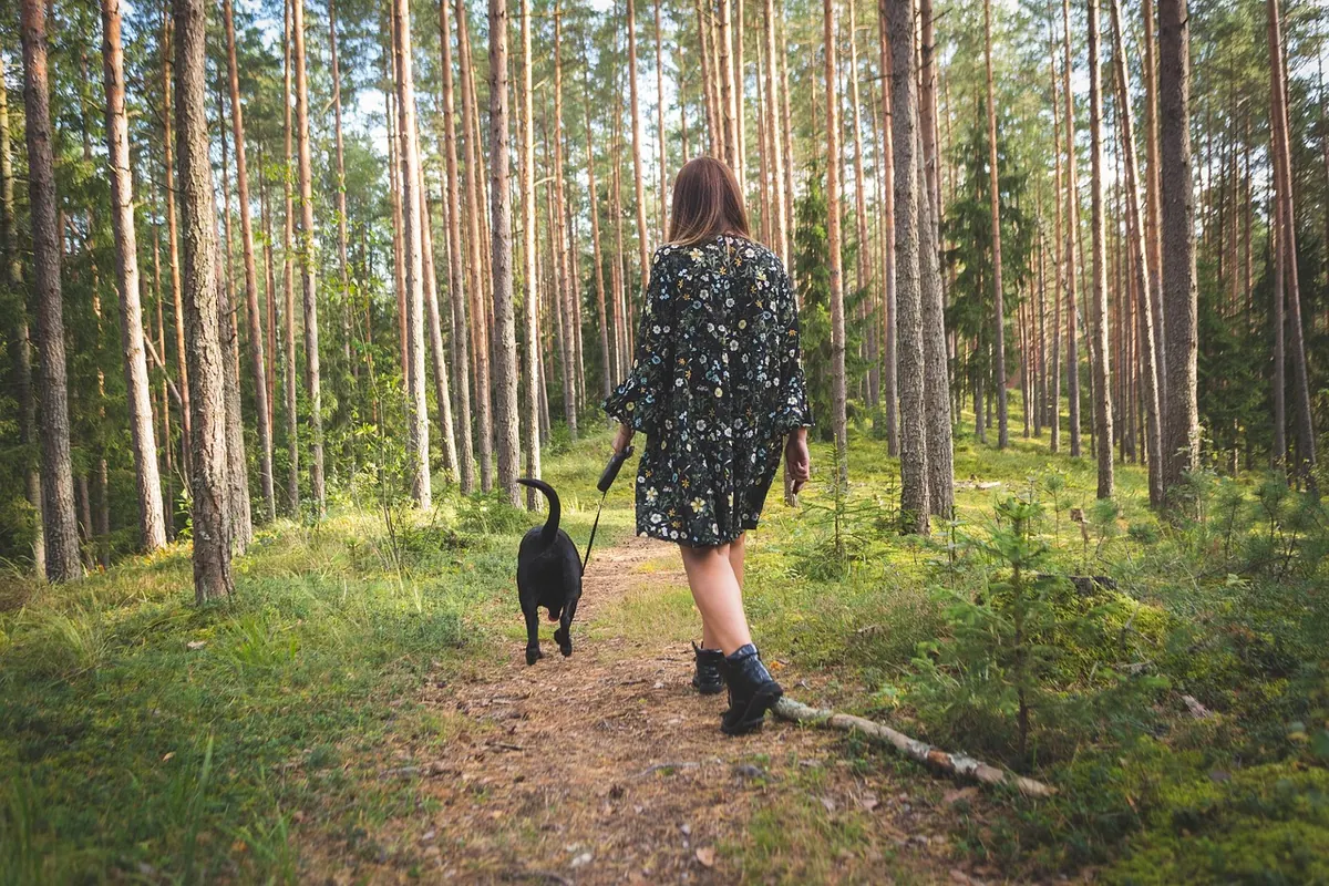 Rainy-Day Dog Walking Gear Checklist: Umbrellas, Raincoats, and Towels